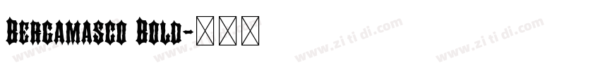 Bergamasco Bold字体转换